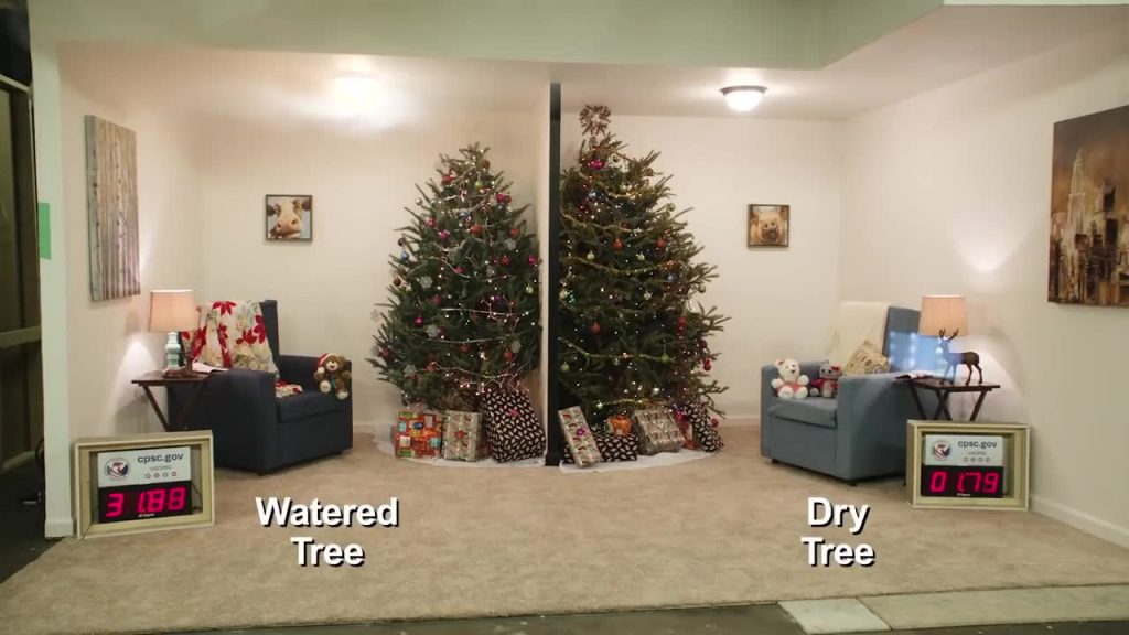 Have you been watering your Christmas tree?